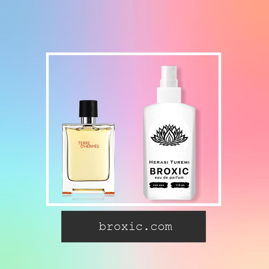 Купить парфумы Hermes Terre D'Hermes | Альтернативная парфюмерия BroXic